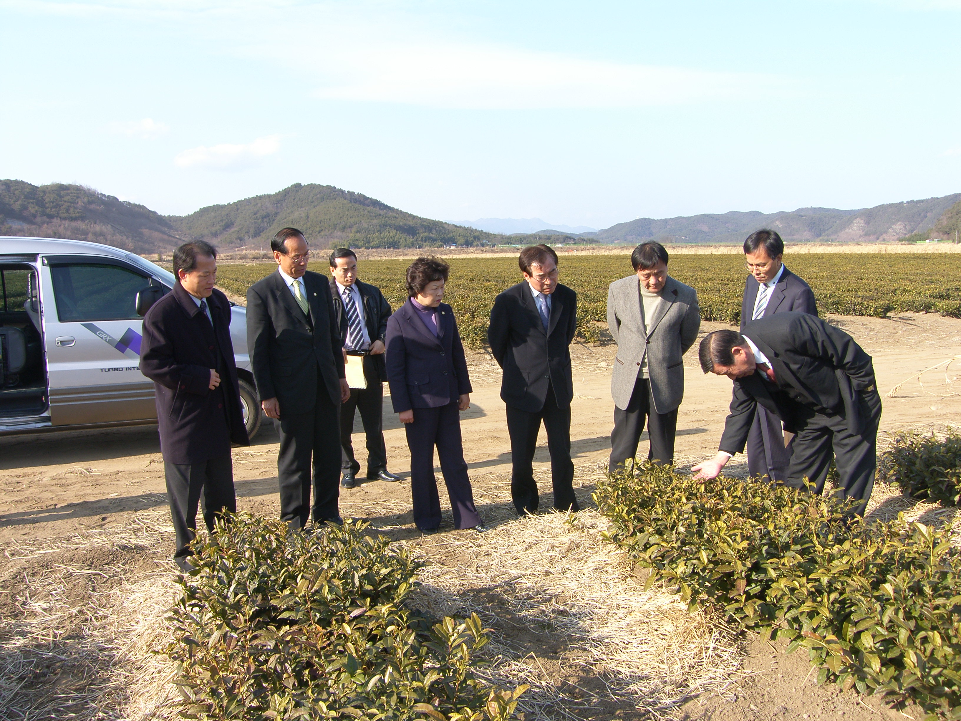 사천시 녹차밭 견학 1