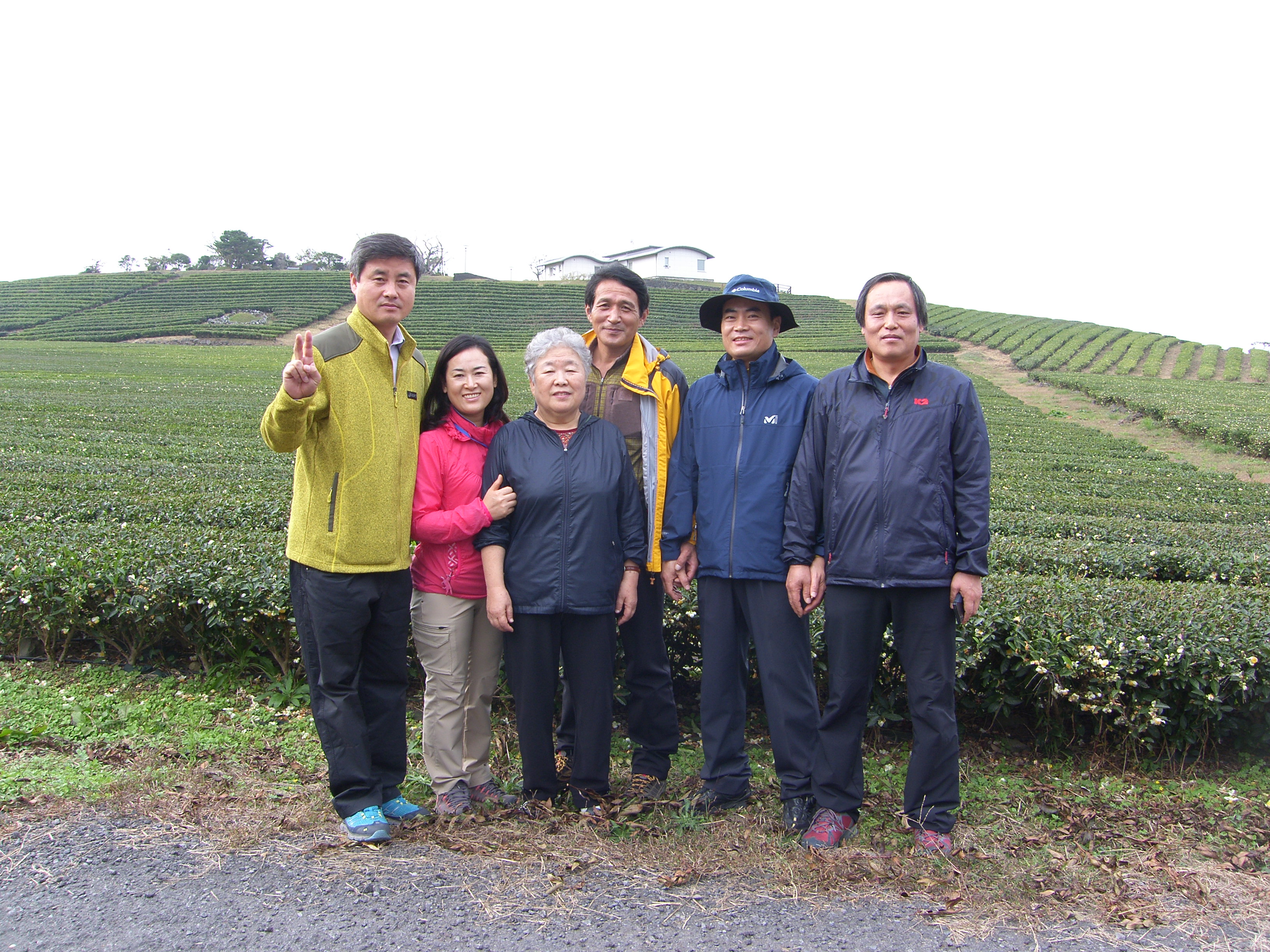 '13년(11.5~11.7)하반기 제주연수기간 중 녹차밭 방문 1