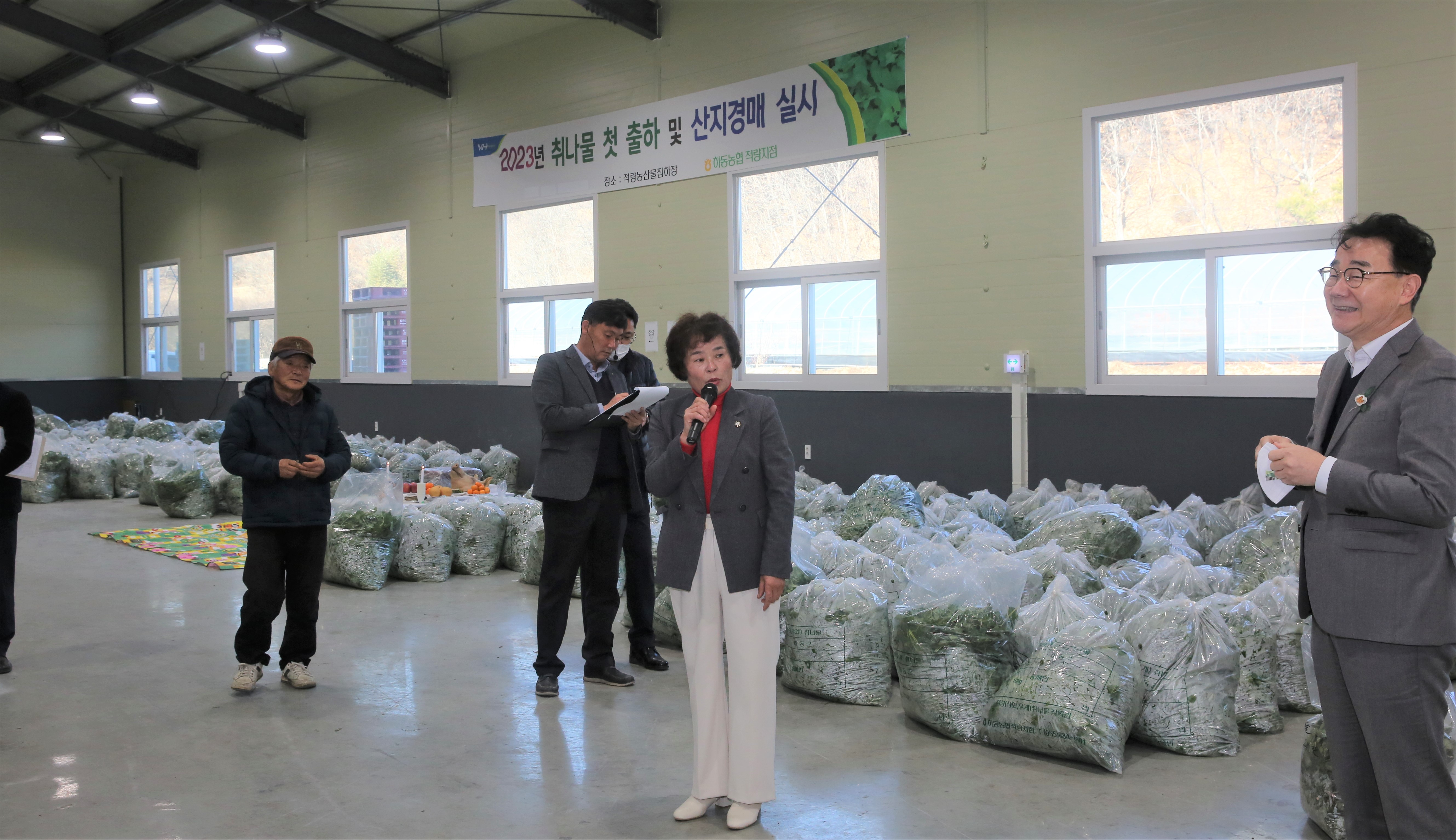 2023. 01. 10. 농협 취나물 첫 출하 산지경매 1