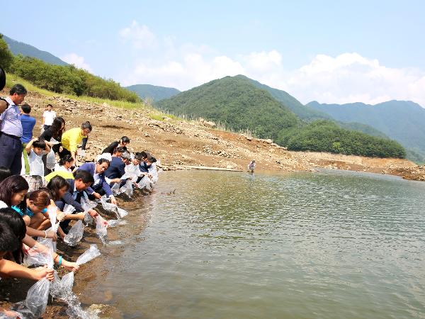 2015.09.02. 하동호 쏘가리 치어 방류 행사