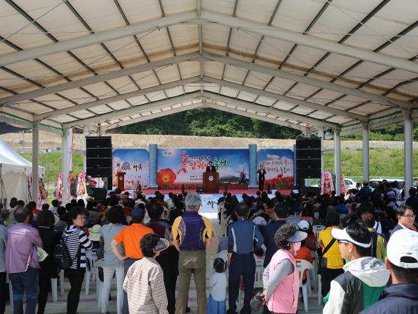 2016.05.14. 북천 양귀비 꽃 축제