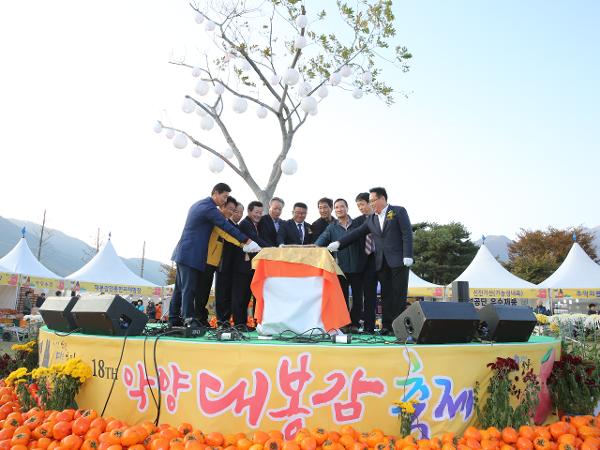 2016.11.05. 악양 대봉감축제