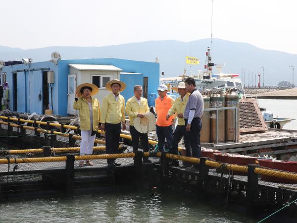 2017.8.11. 양식어류 폐사 어업인 방문 격려
