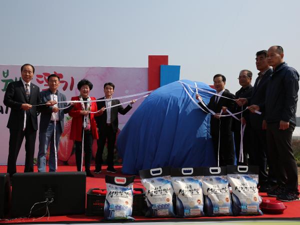 2019. 3. 30. 제5회 옥종북방 딸기체험 축제