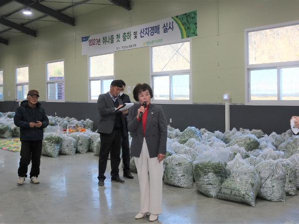 2023. 01. 10. 농협 취나물 첫 출하 산지경매